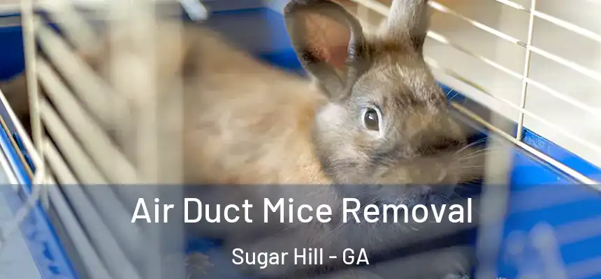  Air Duct Mice Removal Sugar Hill - GA