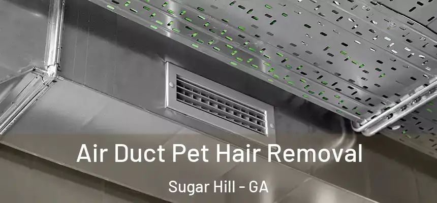  Air Duct Pet Hair Removal Sugar Hill - GA