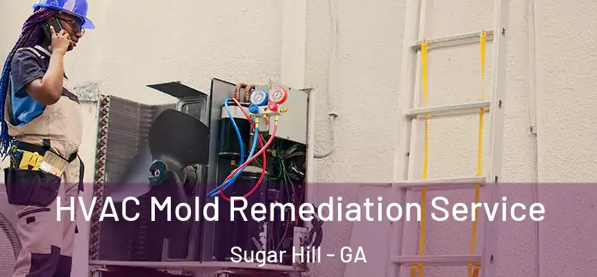  HVAC Mold Remediation Service Sugar Hill - GA