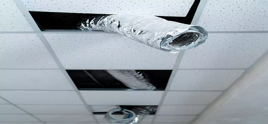 Affordable HVAC Sanitizing After Pest Removal in Sugar Hill