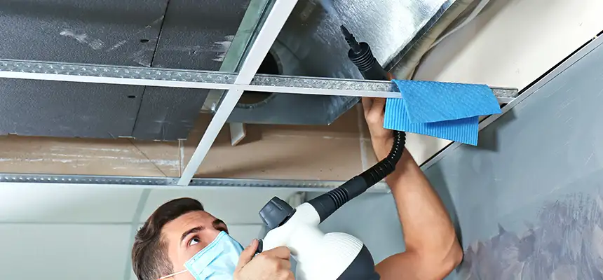 Our Air Duct Rodent Removal Services in Sugar Hill, GA
