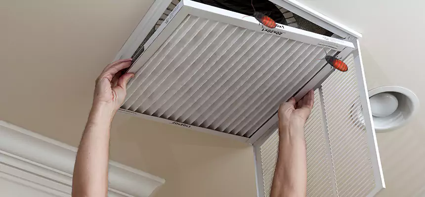Our Insect Removal from Air Ducts Services in Sugar Hill, GA