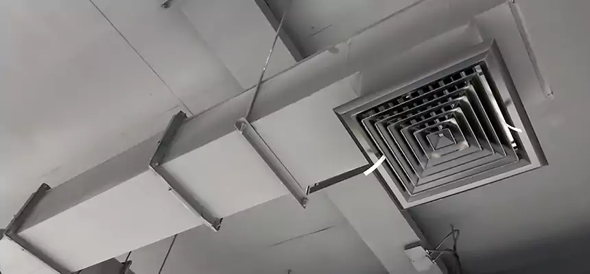 Our Rodent Droppings In Vents Services in Sugar Hill, GA