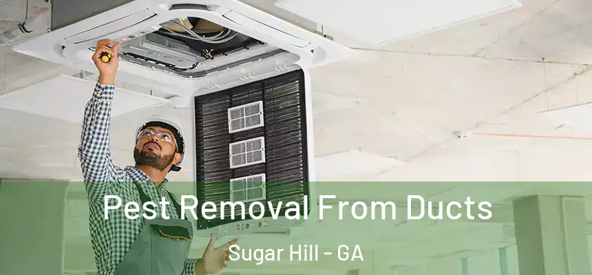  Pest Removal From Ducts Sugar Hill - GA