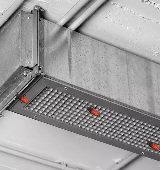 About Air Duct Cockroach Removal in Sugar Hill, GA