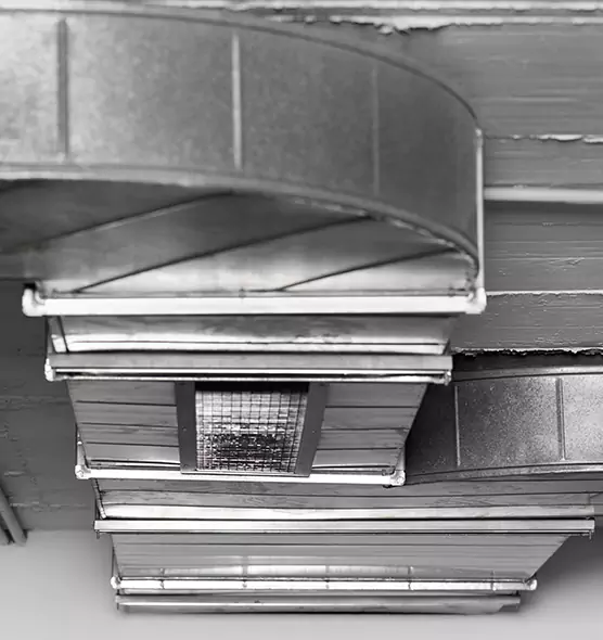 Professional Air Duct Pet Hair Removal in Sugar Hill, GA