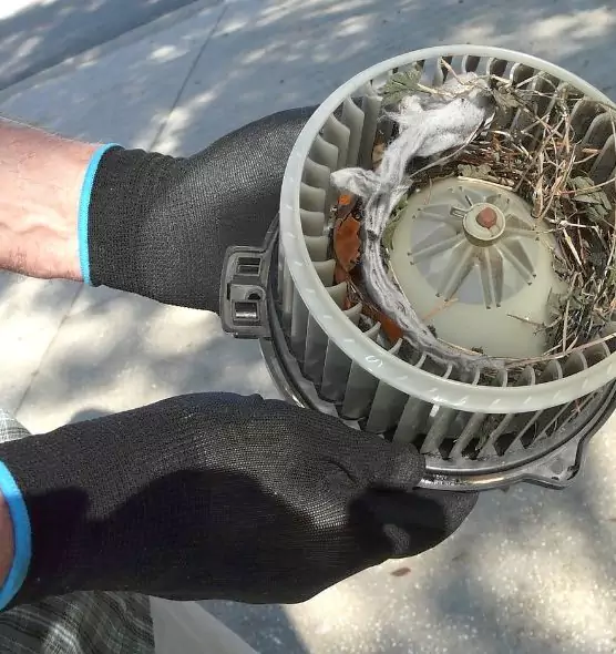 About Air Duct Rat Removal in Sugar Hill, GA