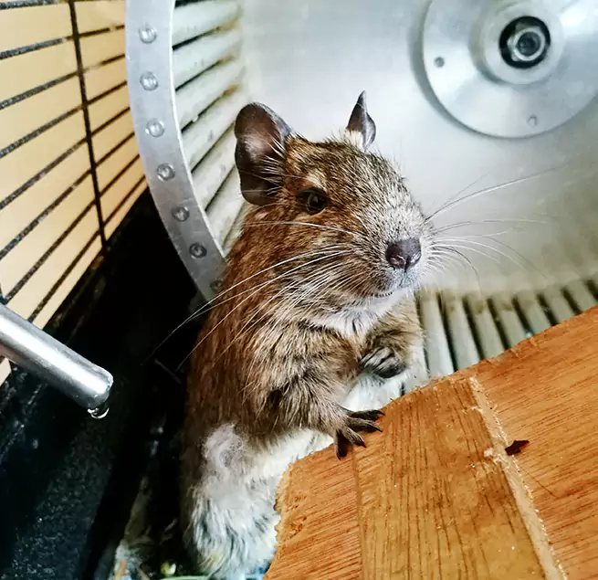 Why Homeowners & Businesses Trust Us Sugar Hill, GA?